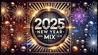 New Year Mix 2025 | Best Of 2024 | Best Mashups & Remixes Of Popular Songs 2024