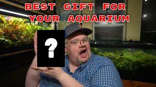 The BEST Gift For Your Aquarium This Holiday Season