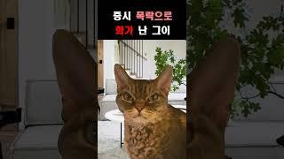 #주식투자 , 한편으로는 인생을 거는거와 비슷하다 #shorts #미국주식 #해외주식