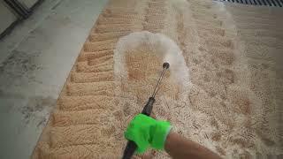 Behind the Scenes  Professional Carpet Cleaning Process