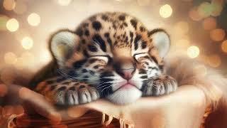 Cute leopard  Soft music for sleep and relaxing