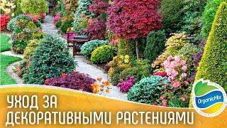 Розы и хвойные - советы по выращиванию роз и хвойных растений / Органик микс / Удобрение для роз
