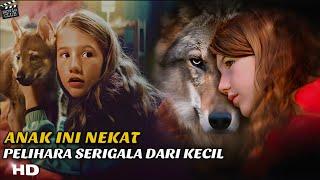 DIPELIHARA DARI KECIL, DIKIRA ANJING TERNYATA SERIGALA | ALUR CERITA FILM PRANCIS