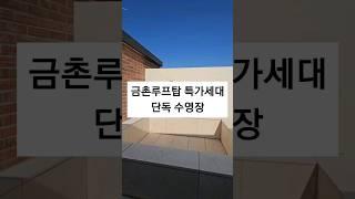 옥상루프탑테라스에 노천탕까지 금촌복층빌라 금촌역세권 추천!!