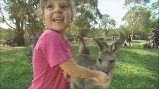 The Australian Reptile Park