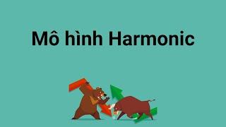 Mô hình Harmonic là gì - Cách giao dịch với Harmonic Pattern