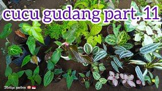 Edisi cuci gudang part.11