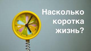 Насколько коротка жизнь?