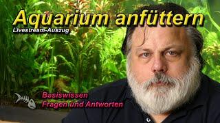 Einfahrzeit - Kann man ein frisch aufgesetztes Aquarium durch "Anfüttern" schneller einfahren?