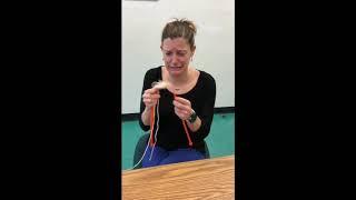 LPES PBIS patience