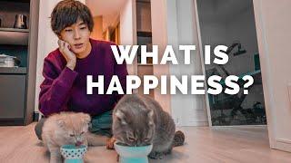 My Life with Two Precious Cats Bringing Happiness