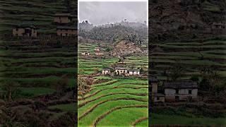 Simply The Best Nepali Mountain Village || Beautiful Place In Nepal || Nepal View