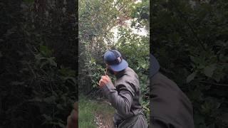 الحياة البريه