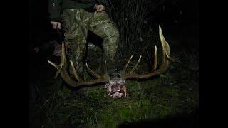 CROSS-CANYON Elk hunt- Idaho - Long range | S1E18 | Limitless Outdoors