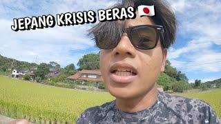 JEPANG KRISIS BERAS || MUSIM PANEN TIBA TAPI HARGA BERAS NAIK DAN STOK LANGKA