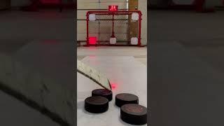 Stay'in Alive Game - KnockoutNet Hockey Training Equipment