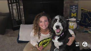 Teacher accuses Ann Arbor principal of stealing dog she was encouraged to adopt