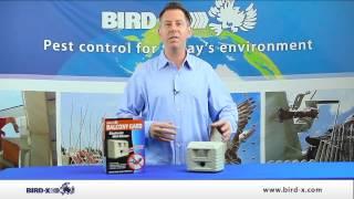 Bird-X Balcony Gard Product Video