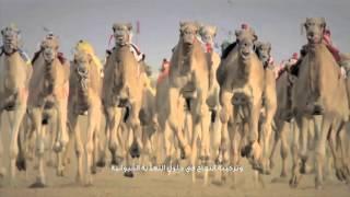 Video Editor Showreel 2016- Rijo K Raju