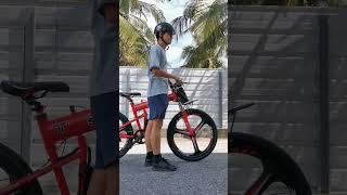 Electric Bicycle e-Bike Review 电动脚车 - StonBike(Bike-LAN2603N)