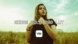 Kodak Gold 200 Lut - Free Download | Color grading with Luts on mobile (VN Video Editor)