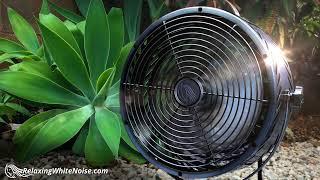 Fan Noise for Sleeping | Also helps you Study, Focus | 10 Hours White Noise