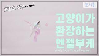 [고양이 예능] 고양이 장난감 엔젤 부케 스틱 장난감_깃털 소리, 바스락 소리, 새소리(feat. zooahpet cat toy)