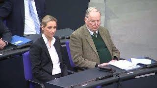 Behinderte und Migranten: Sozialverbände entsetzt über AfD-Anfrage