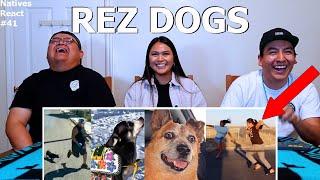 Reservation Dogs (REZ DOG Memes) - Natives React #41