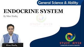 Endocrine System Part 1 | Glands & Hormones | Study River | #generalscienceandability by Mian Shafiq