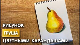 Рисунок цветными карандашами груши | Поэтапная срисовка для начинающих