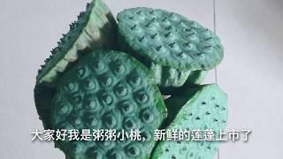 【新鲜出炉的莲蓬】绿油油的莲蓬哟！教你如何正确剥莲蓬，莲子要这么吃更清甜爽口哟！懒人料理宿舍美食水果系列