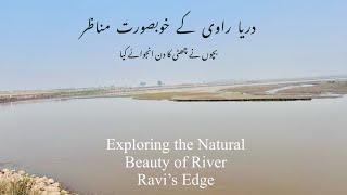 Nature's Beauty | Traveling to the River Ravi’s Edge | Punjab Narowal