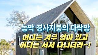 농막의 다락방 높이 특히 경사지붕이 있는 곳의 다락방 높이는 어떻게 산정해야할까?/ 어느 농막 다락방은 겨우 앉아 있고 어느 농막 다락방은 서서 다니더라~/ 컨테이너 하우스/ 농막