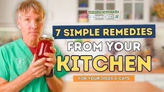 7 Kitchen Remedies to Help Your Dog and Cats