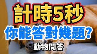 [ 問答超人 - 計時5秒 ] 挑戰動物知識 你能答對幾題?