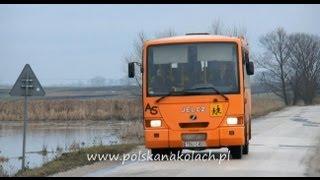 Jelcz As - autobus szkolny