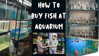 How to Buy Fish at Aquarium shop | மீன் கடையில் எப்படி மீன் வாங்குவது ?