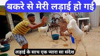 बकरी पालन में ऐसी गलती कभी मत करना | Fight With Goat #mistakes #fight #goat @vnsgoatfarm