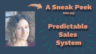 A Peek into the Predictable Sales System