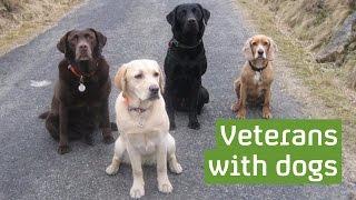 The dogs helping veterans overcome mental health issues