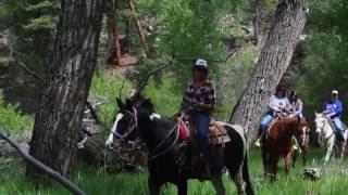 Horseback Riding In Buena Vista & Salida, Colorado