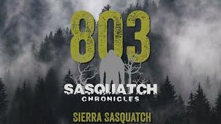 SC EP:803 Sierra Sasquatch
