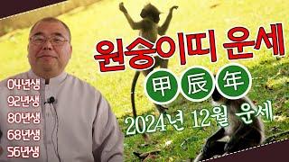 2024년 12월 원숭이띠 베스트띠 활발한 사회 활동을 추천하는데... ㅣ갑진년 원숭이띠운세 04년생 92년생 80년생 68년생 56년생