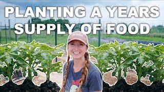 Planting a Year's Supply of Food for a Family of 7