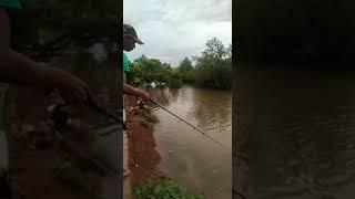 best fishing video/ Barramundi fishing  goa-India/angler/Top water explosion strike2022