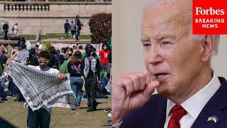 Why The Anti-Israel Protests At Columbia And Across Nation Will Hurt Biden: Political Scientist