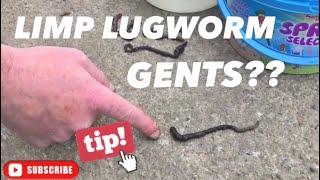 LIMP LUGWORM GENTS??-TOP TIP FOR LIVENING YOU’RE LUG-BASSMANS BOUNTY BITES SERIES