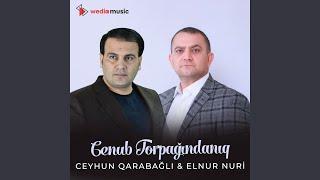 Cenub Torpağındanıq