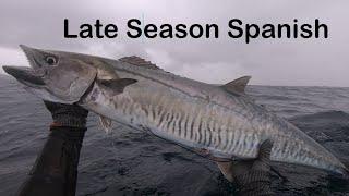 Late Season Spanish